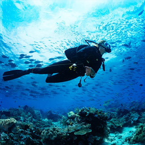 scuba diving taster dive